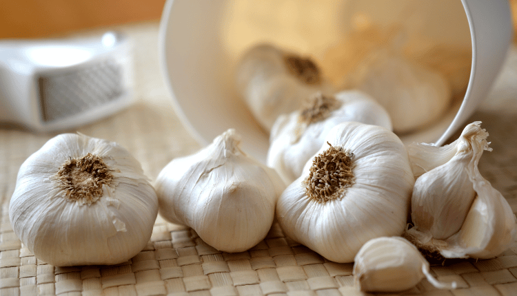 5 Benefits of Garlic for Your Skin, Body and Brain