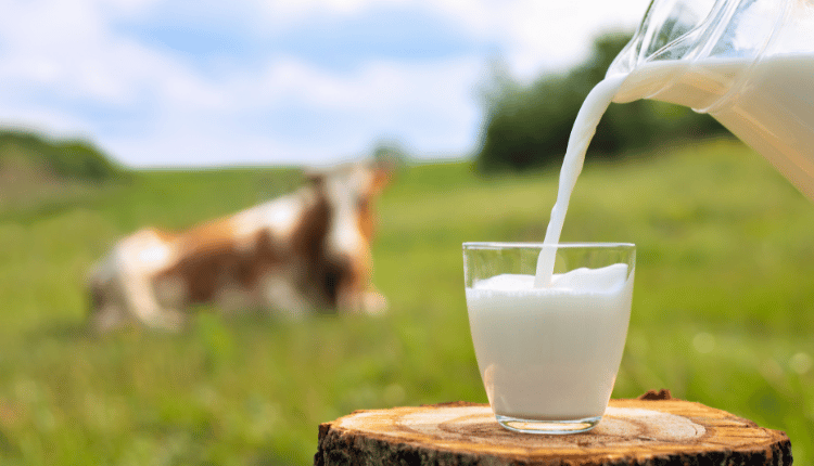 5 Benefits of Hemp Milk That You Should Know