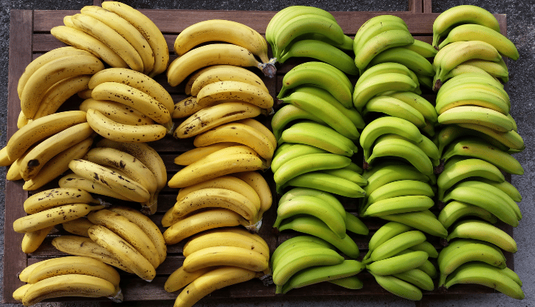Bananas: The Best Fruit for Your Health and Weight Loss