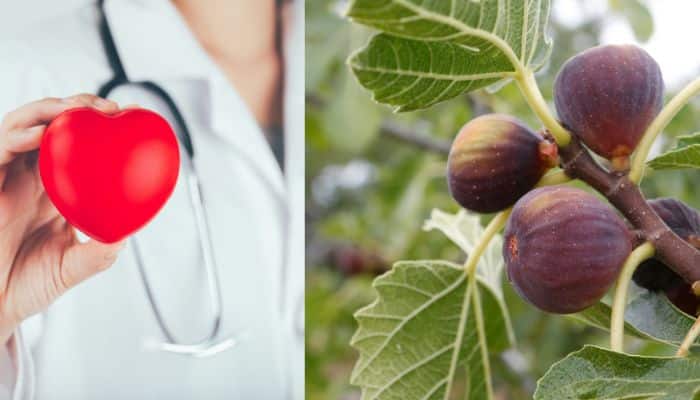 Figs Can Boost Your Heart Health