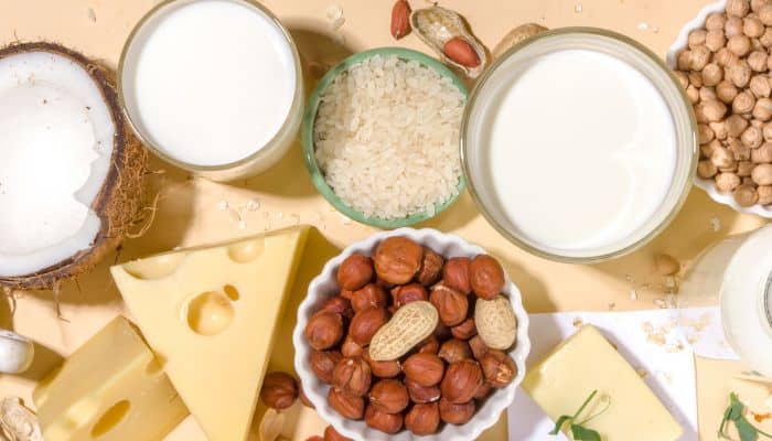 Plant-Based Milk Alternatives